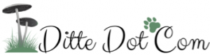 DitteDotCom