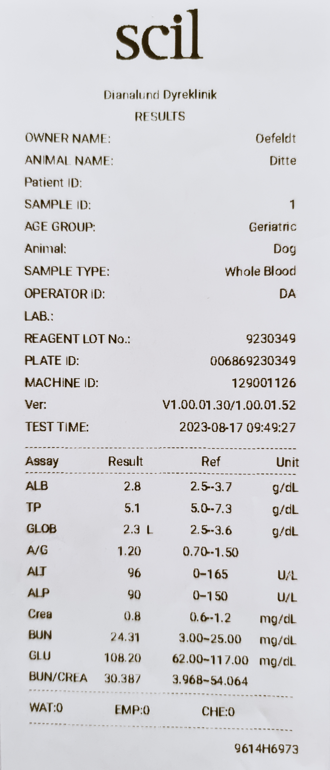 DitteDotCom-blood-samples-17.8.2023