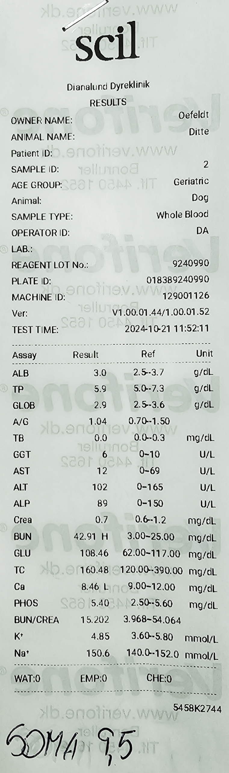DitteDotCom-blood-samples-21.10.2024-1