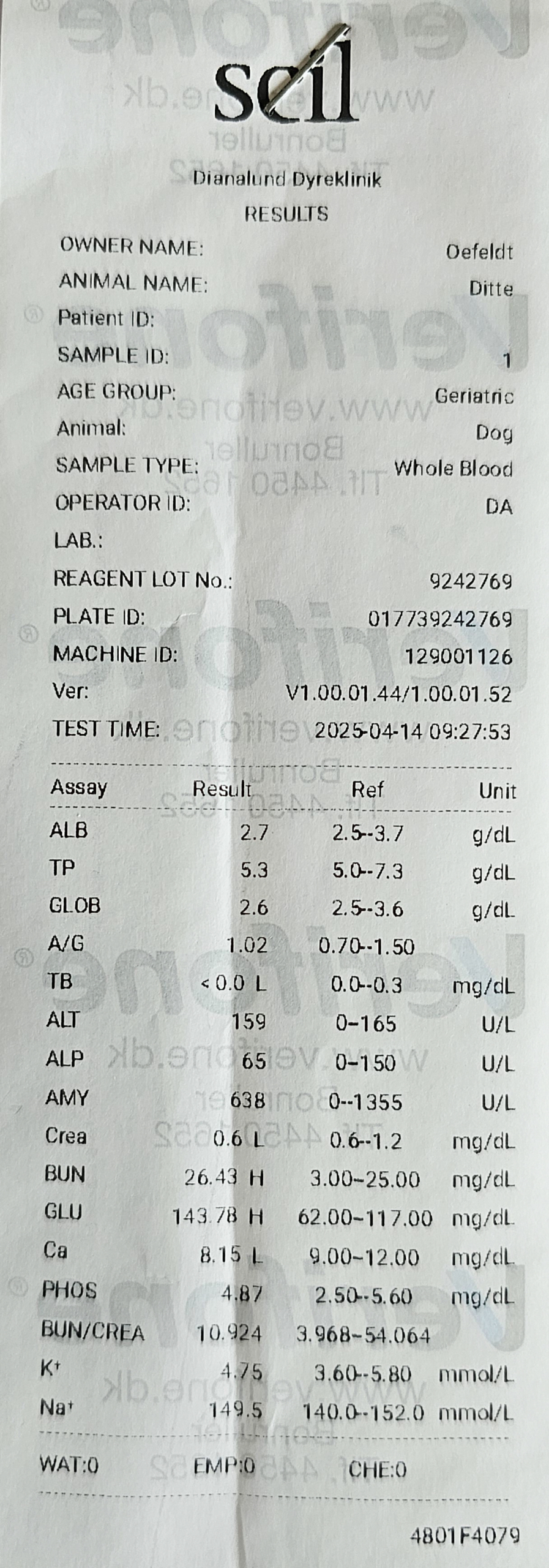 DitteDotCom-blood-samples-14.4.2025-1