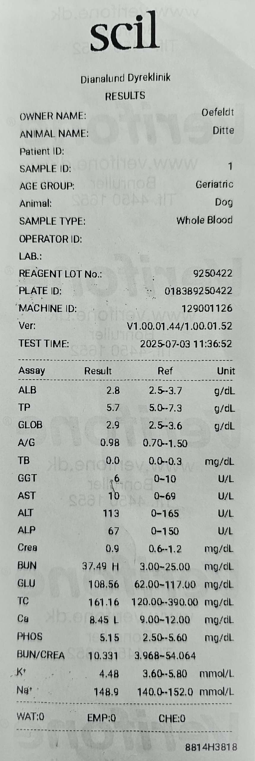 DitteDotCom-blood-samples-3.7.2025-1
